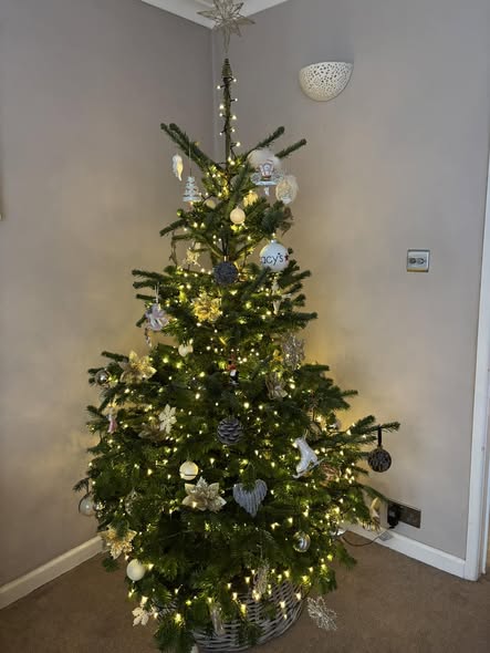 Amyβs decorated Tower Road tree